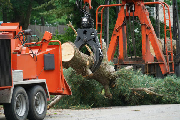 Best Lawn Dethatching Services  in Matawan, NJ